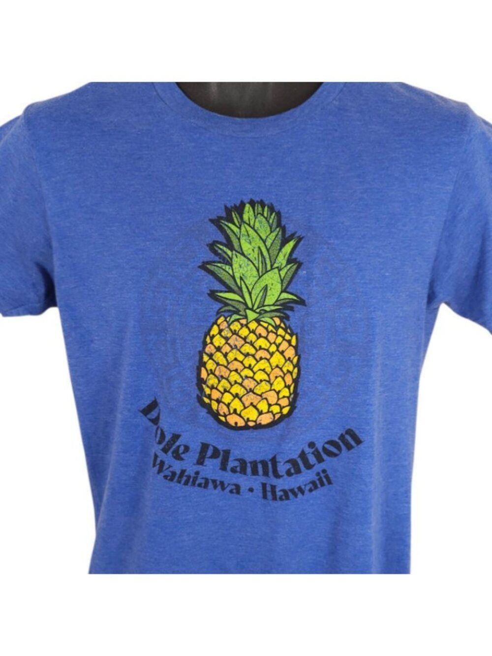 Dole Plantation T Shirt Mens Size Small Blue Wahiawa Hawaii Pineapple